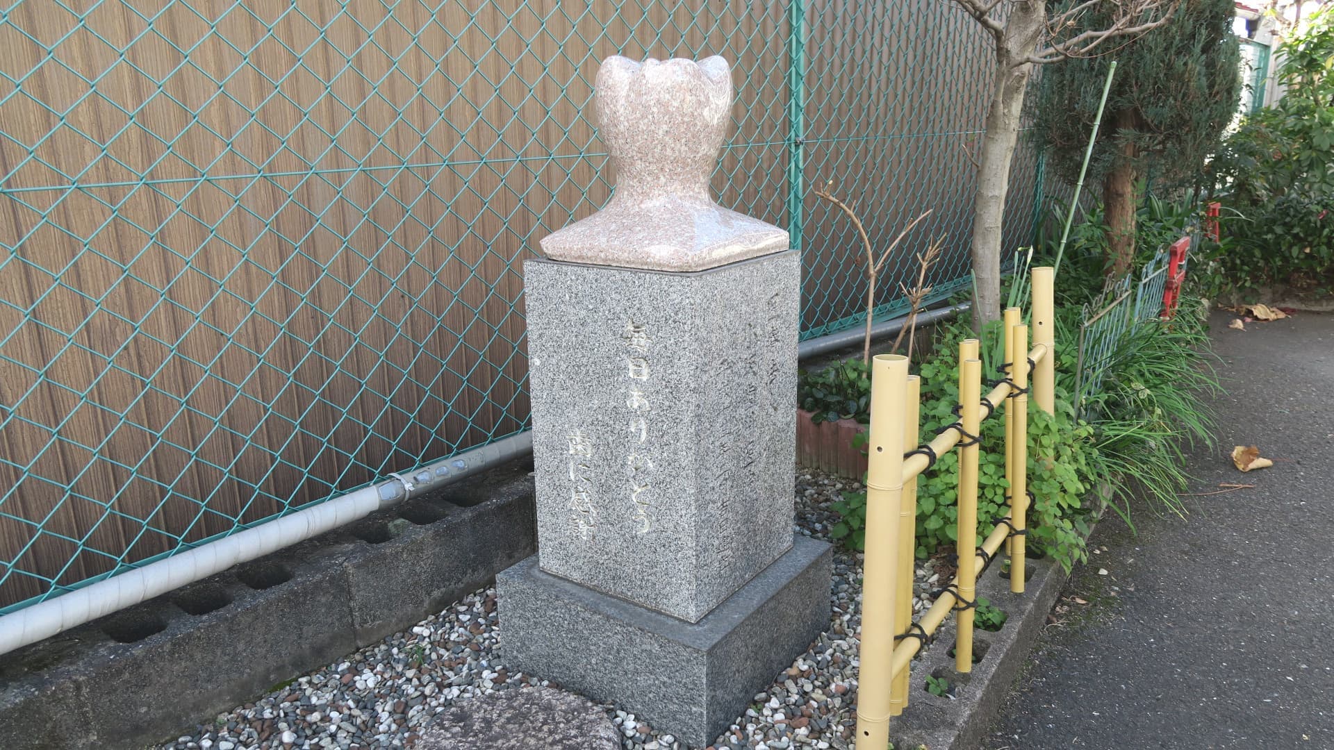 摂津市歯科/小坂歯科医院