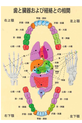 摂津市小坂伊歯科医院　治療方針